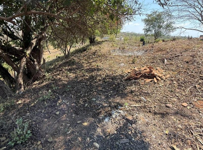 CASA HABITACION CON TERRENO, LAZARO CARDENAS-12