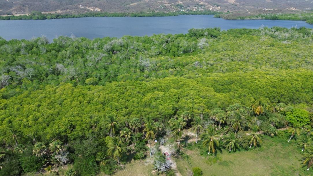 LOTE DE TERRENO URBANO, PALMARITO-4