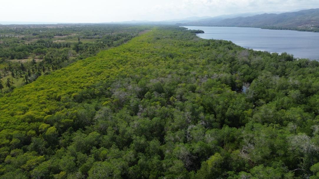LOTE DE TERRENO URBANO, PALMARITO-2