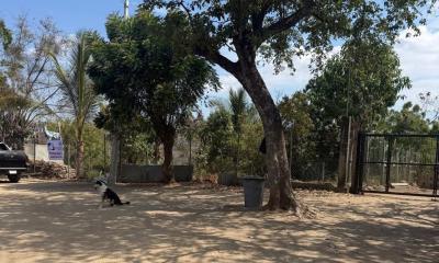 LOTE DE TERRENO URBANO, LOMAS DEL PUERTO