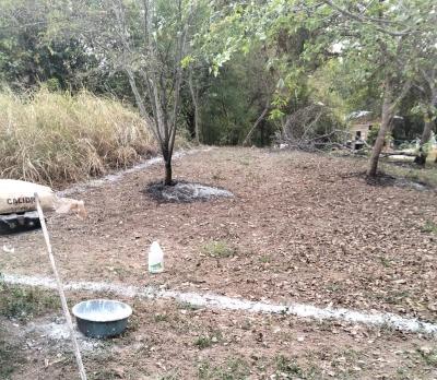 LOTES DE TERRENO URBANO, LOS REYES