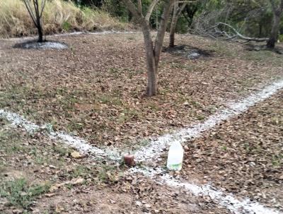 LOTES DE TERRENO URBANO, LOS REYES