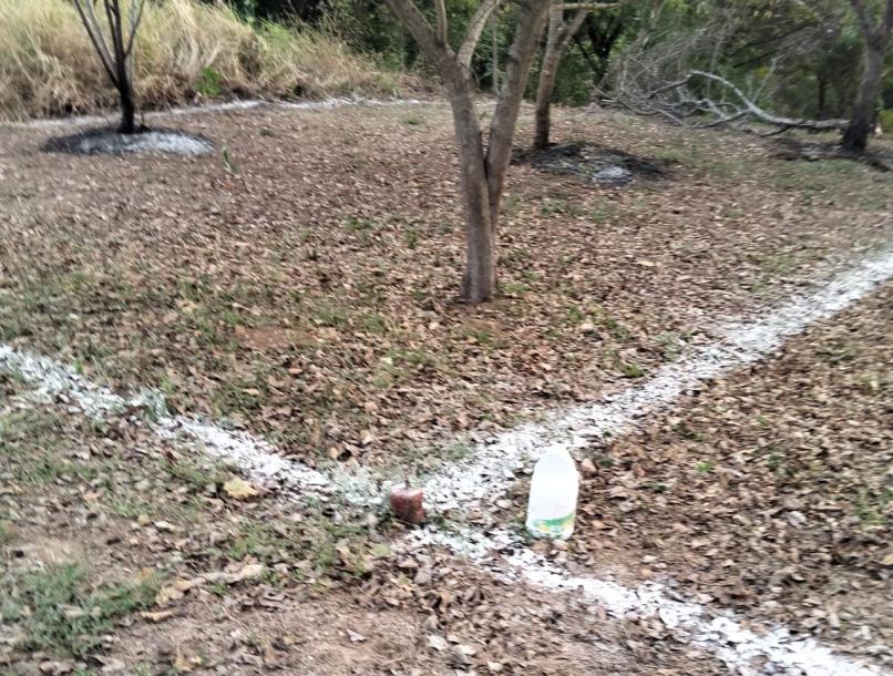 LOTES DE TERRENO URBANO, LOS REYES-2