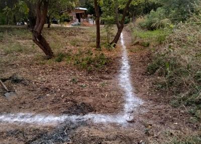 LOTES DE TERRENO URBANO, LOS REYES