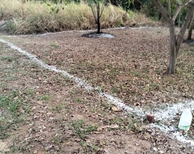 LOTES DE TERRENO URBANO, LOS REYES